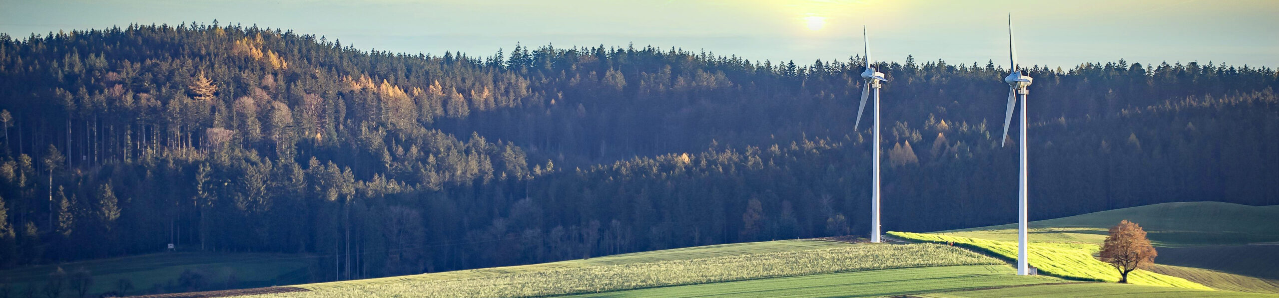 Windräder auf Feldlandschaft